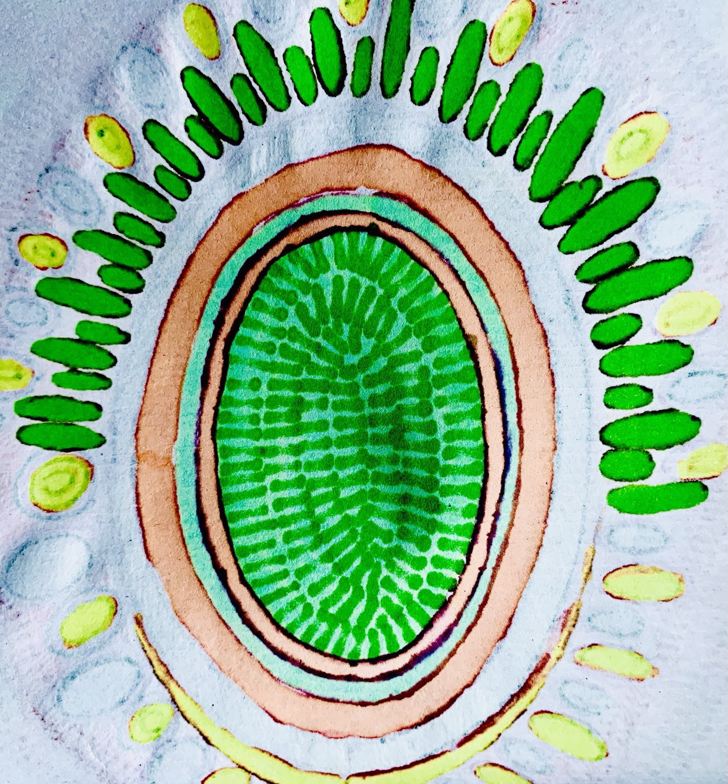 Dessin 54 de Juliette Savaëte